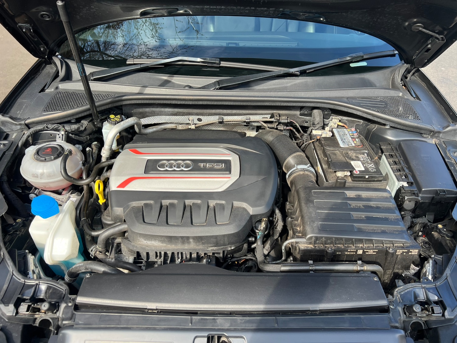 Used Audi S3 2019 for sale - 76369065: Photo 10
