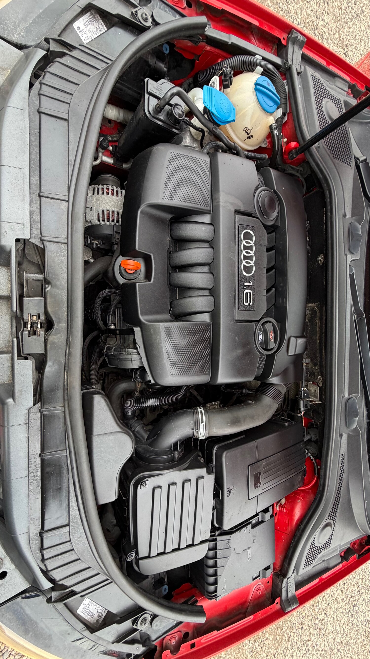 Used Audi A3 2008 for sale - 77592030: Photo 19