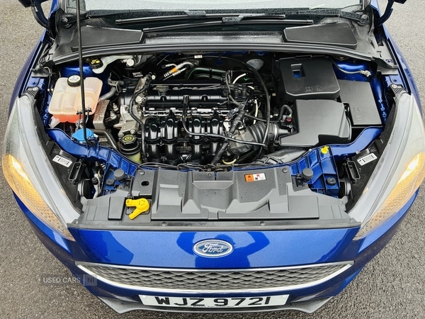 Used Ford Focus 2015 for sale - 78008018: Photo 12