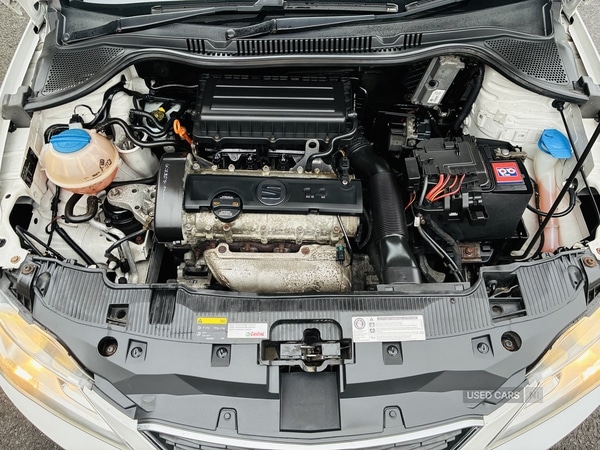 Used SEAT Ibiza 2015 for sale - 77724404: Photo 12