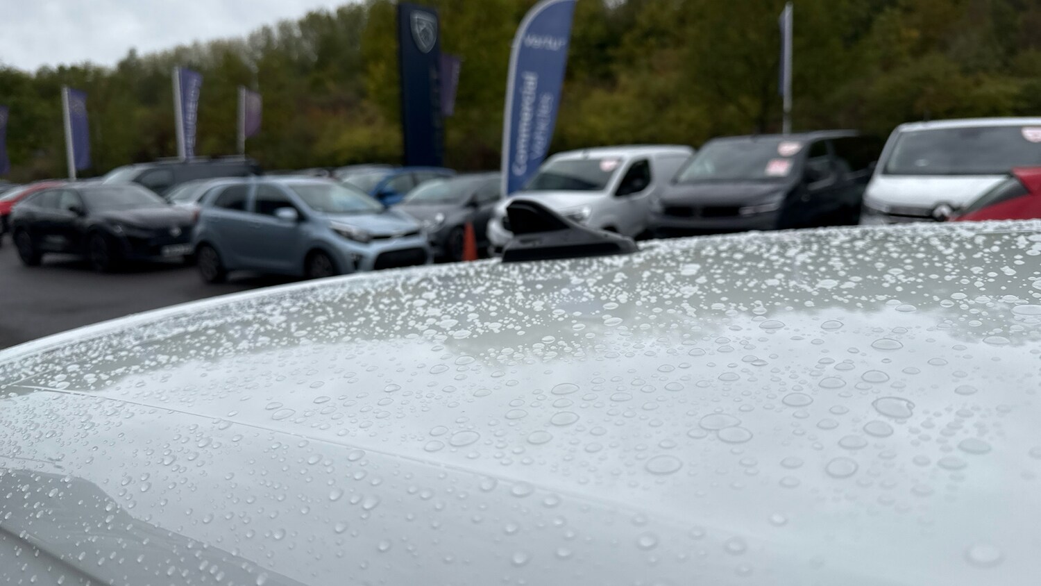 Used Volkswagen Golf 2021 for sale - 76209238: Photo 34