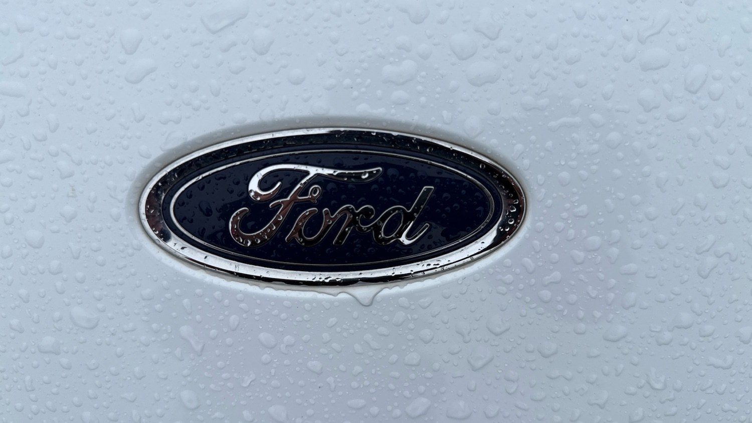 Used Ford Focus 2020 for sale - 76319180: Photo 8