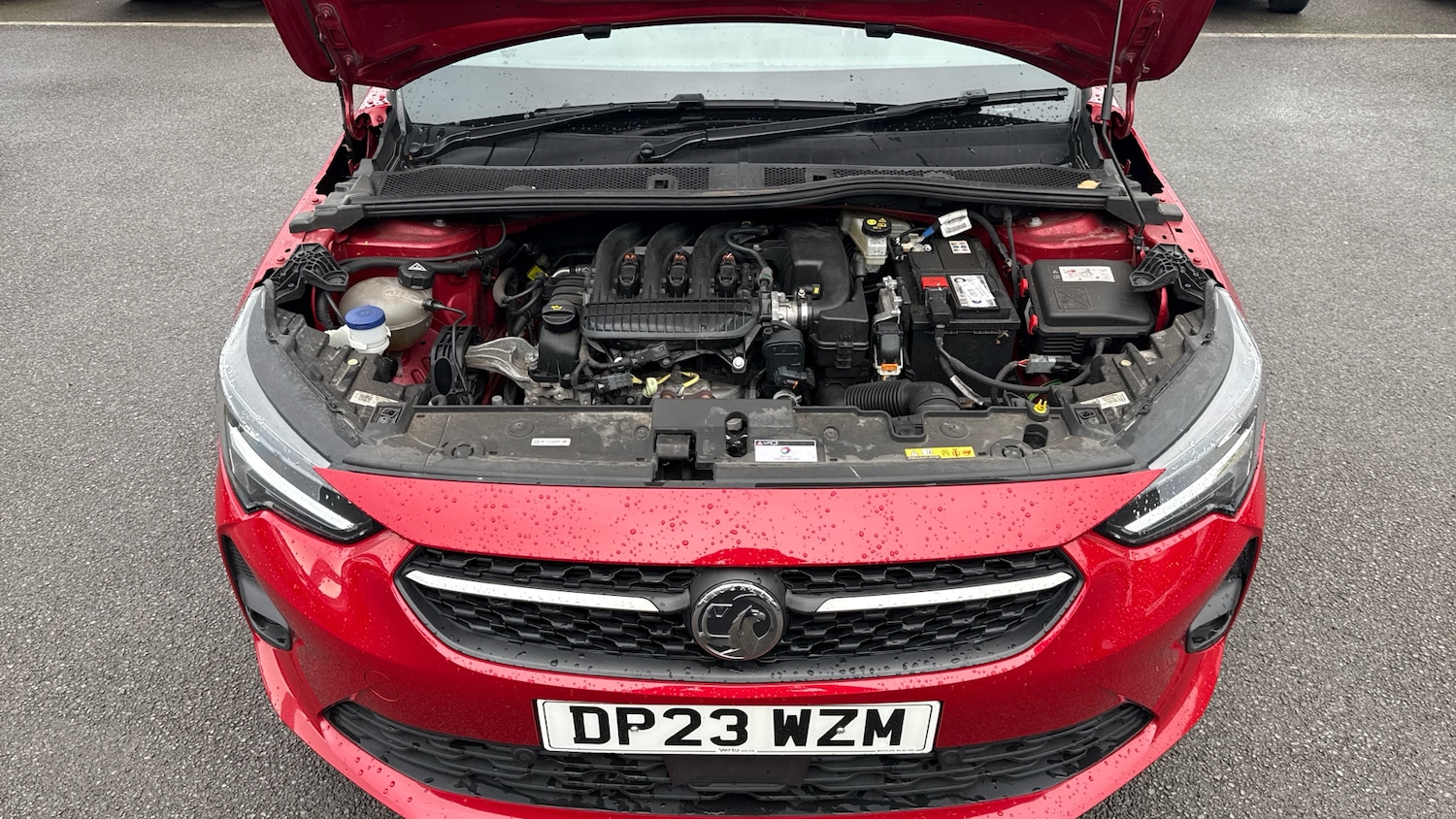 Used Vauxhall Corsa 2023 for sale - 76114171: Photo 8