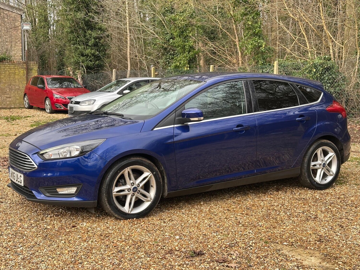 Used Ford Focus 2016 for sale - 77637797: Photo 11