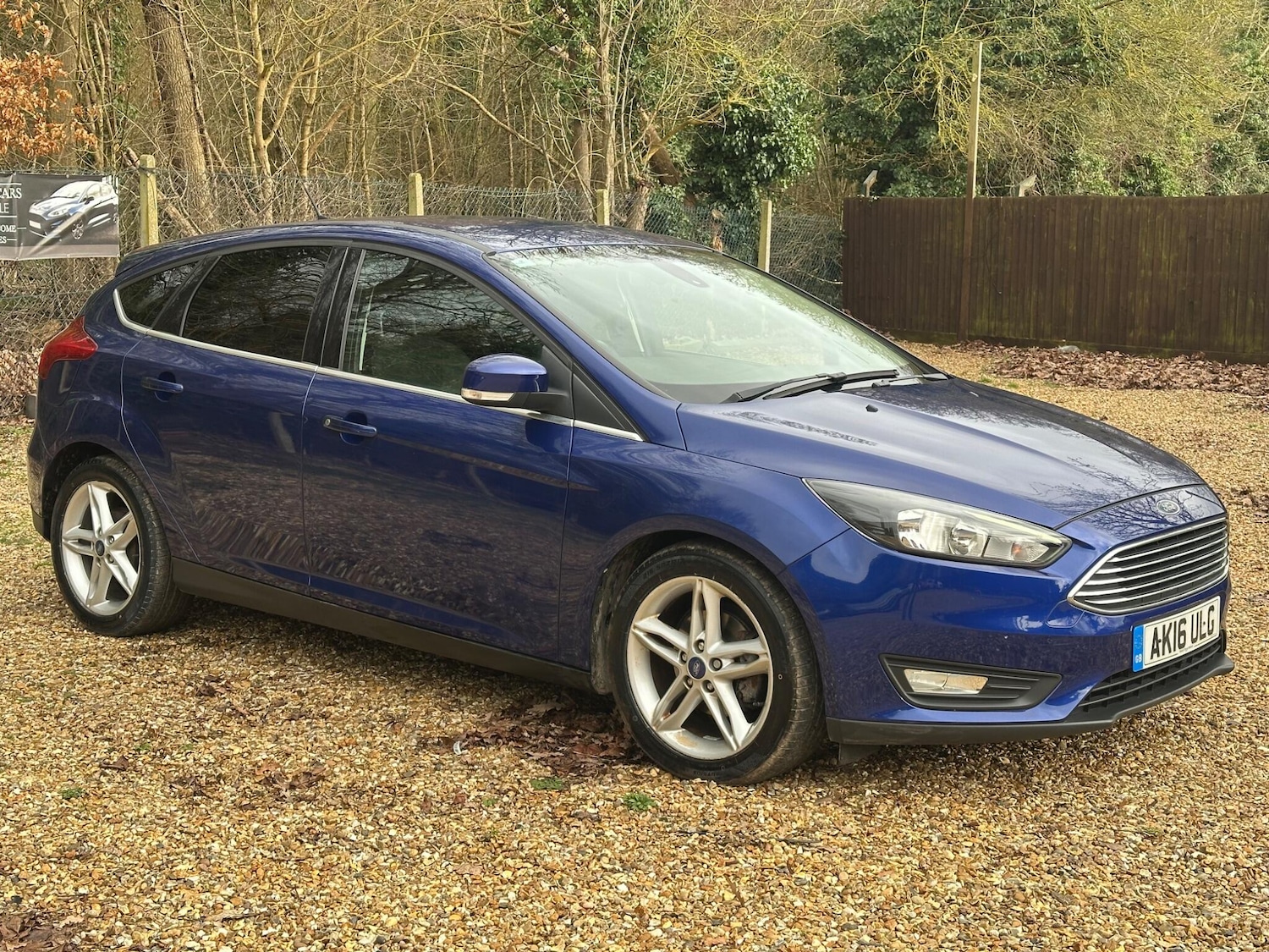 Used Ford Focus 2016 for sale - 77637797: Photo 3