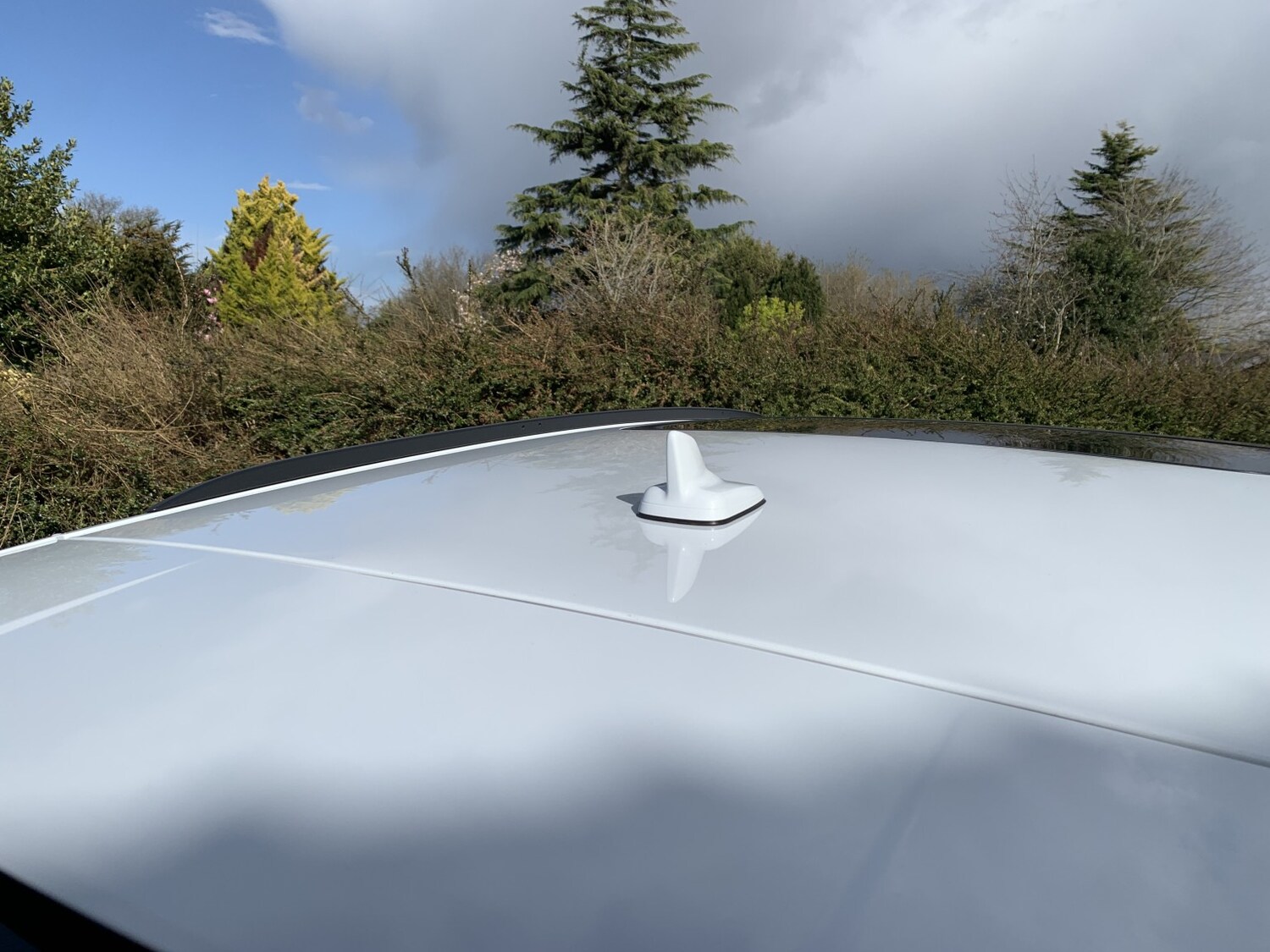 Used Audi S4 Avant 2018 for sale - 78062212: Photo 36