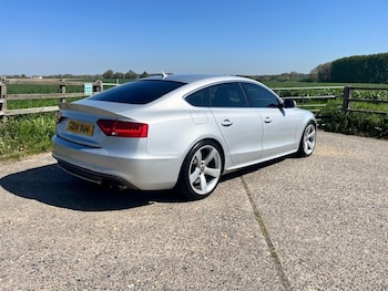 Used Audi S5 2014 for sale - 78360067: Photo
