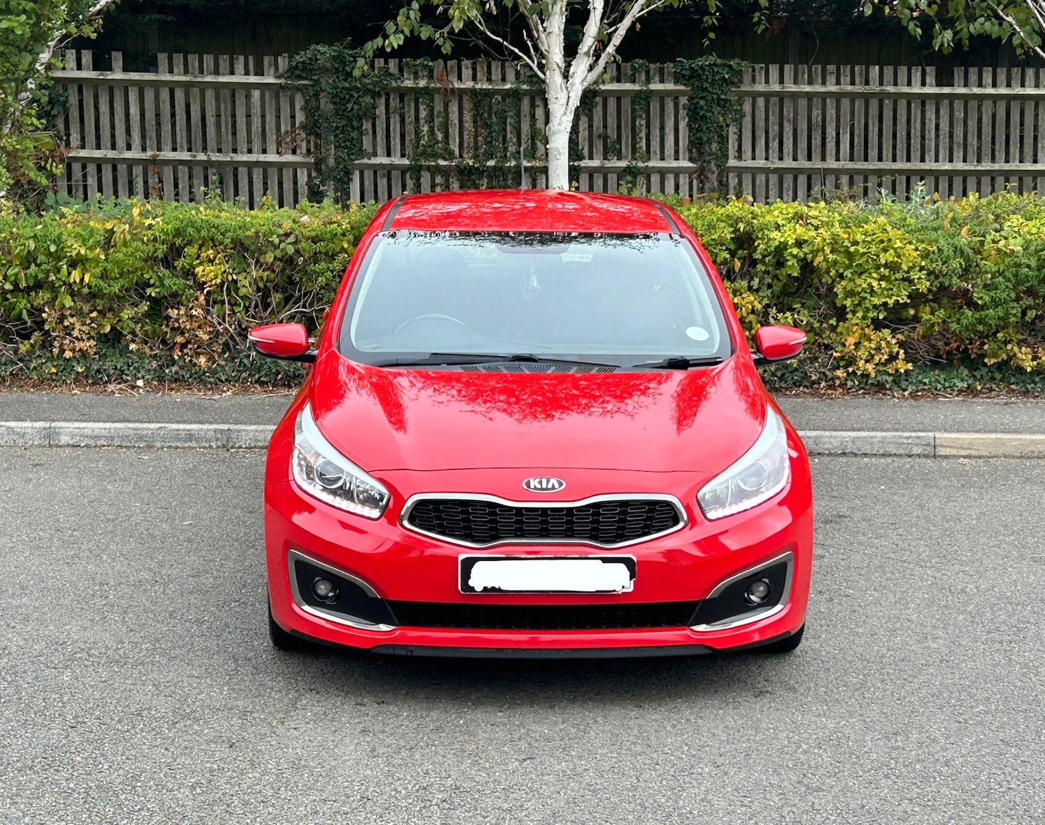 Used Kia Ceed 2017 for sale - 77689505: Photo 18