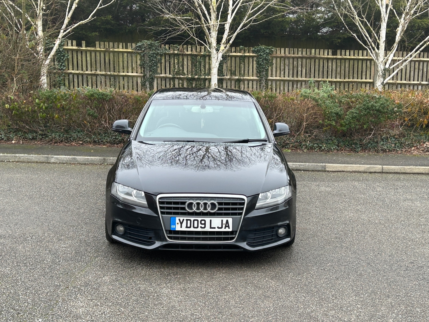 Used Audi A4 2009 for sale - 77831821: Photo 11