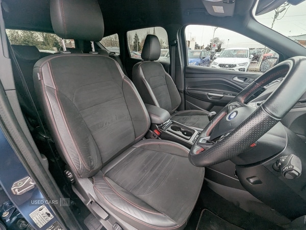 Used Ford Kuga 2019 for sale - 76729793: Photo 12