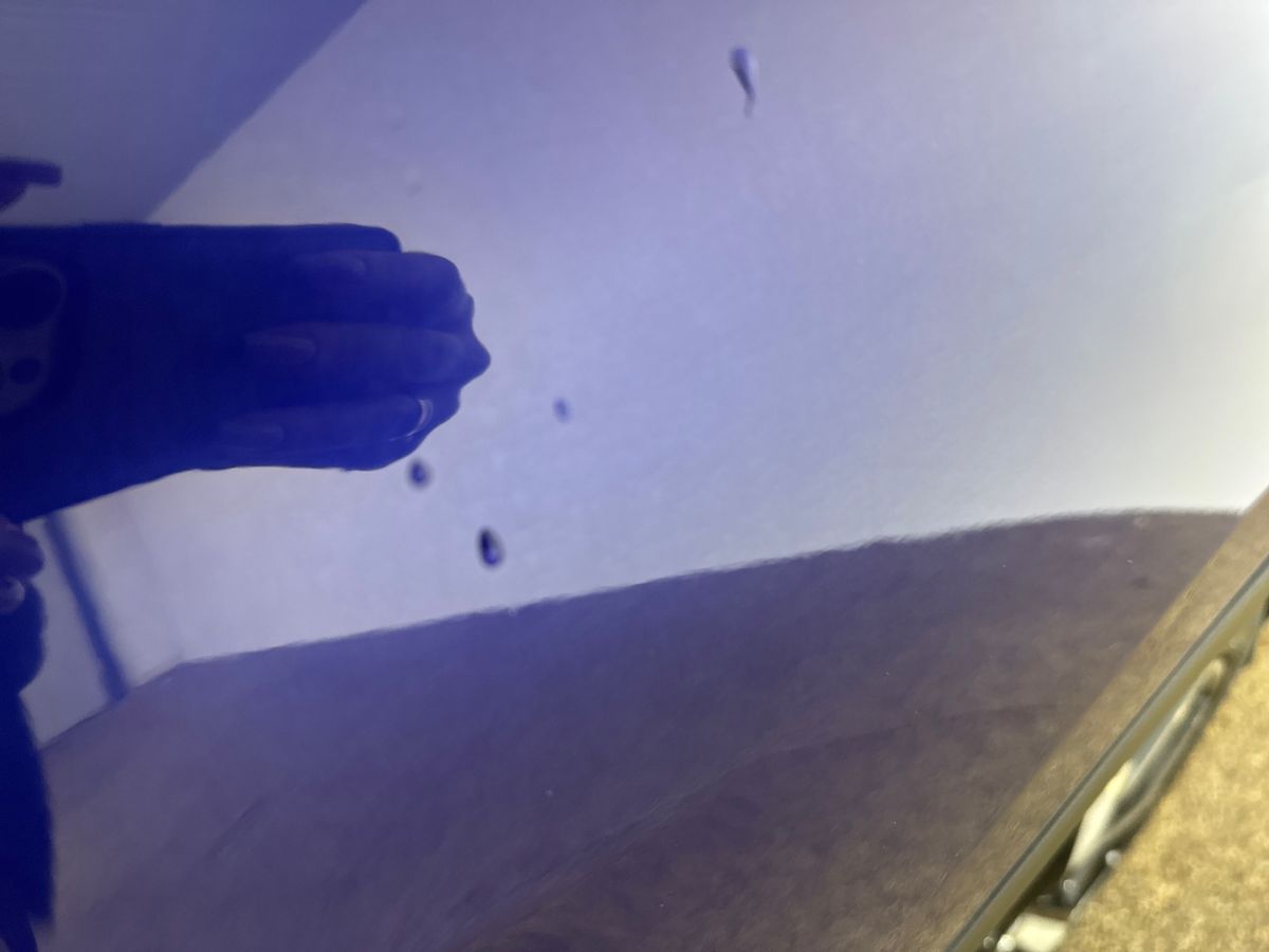 Used Nissan Qashqai 2019 for sale - 77333087: Photo 31