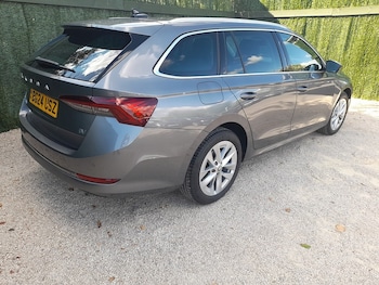 Used Skoda Octavia 2024 for sale - 79462671: Photo