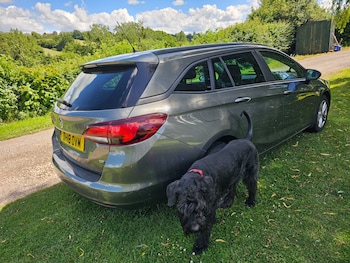 Used Vauxhall Astra 2024 for sale - 78841424: Photo