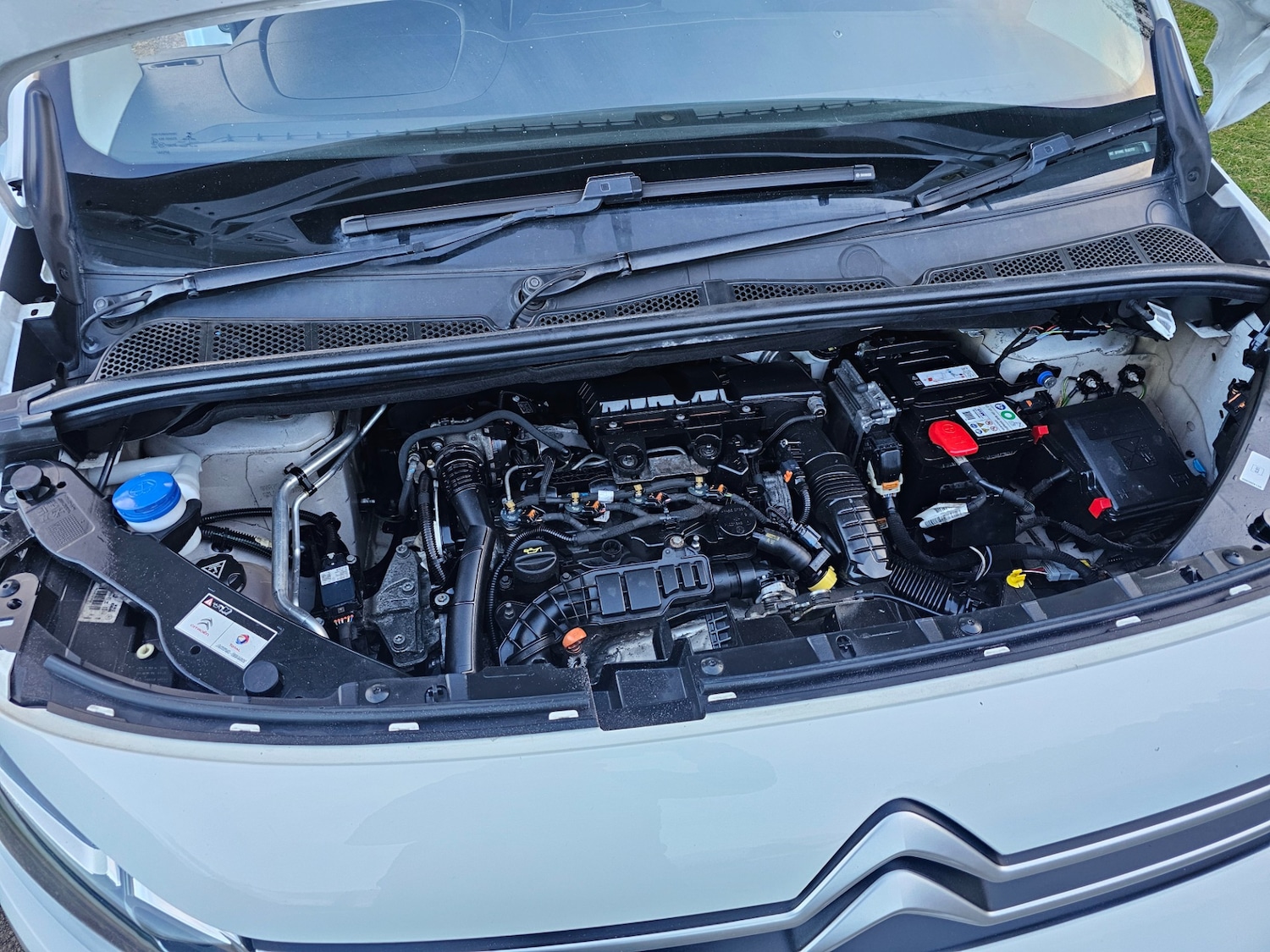 Used Citroen Berlingo 2021 for sale - 78213711: Photo 10