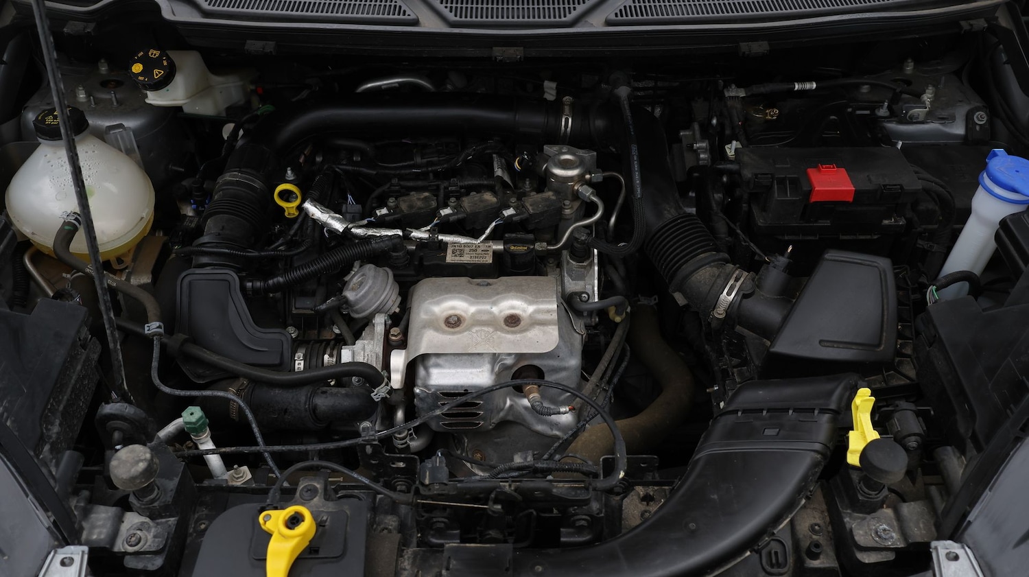 Used Ford Ecosport 2023 for sale - 77789686: Photo 19