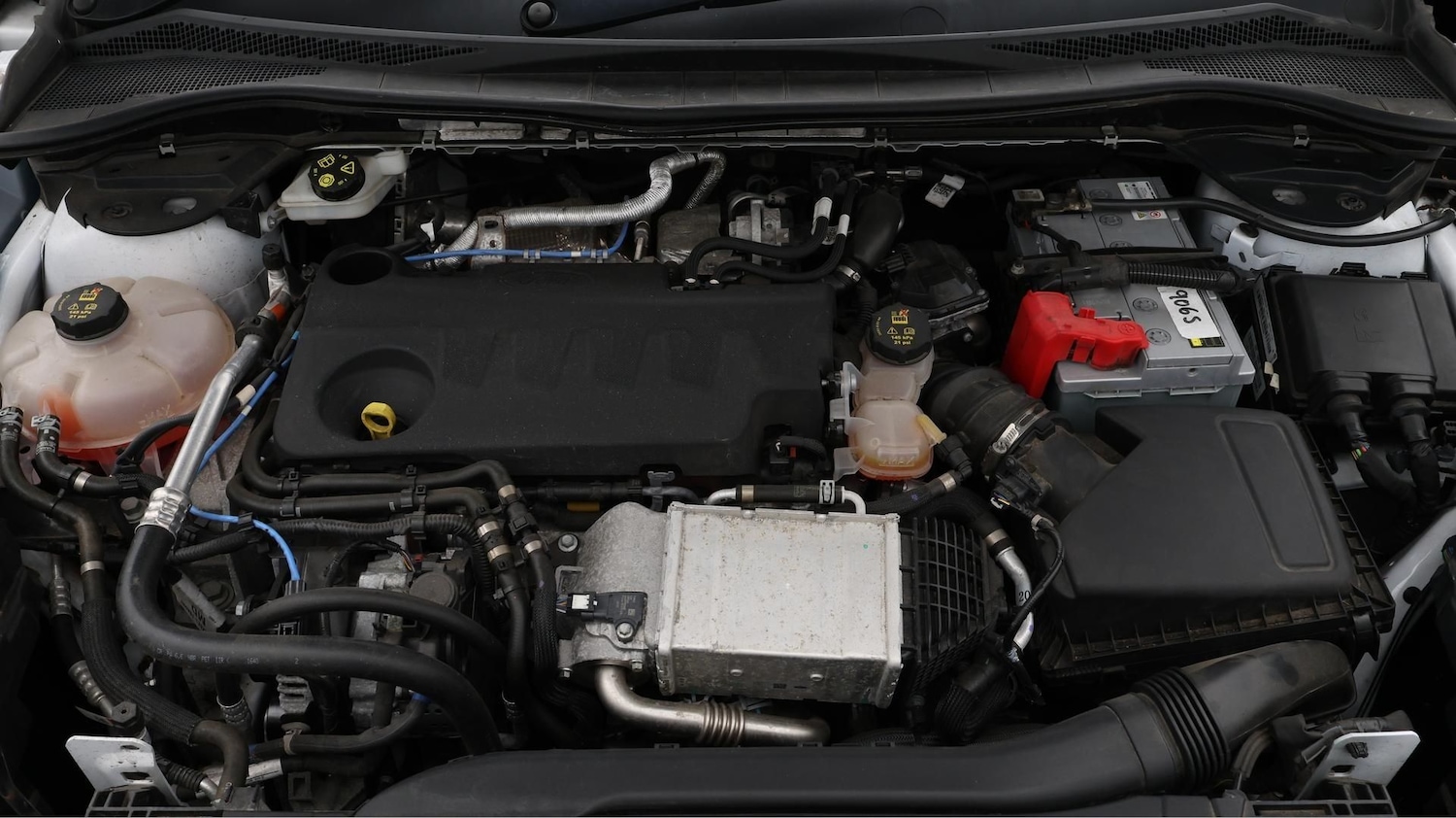 Used Ford Kuga 2021 for sale - 77631168: Photo 19