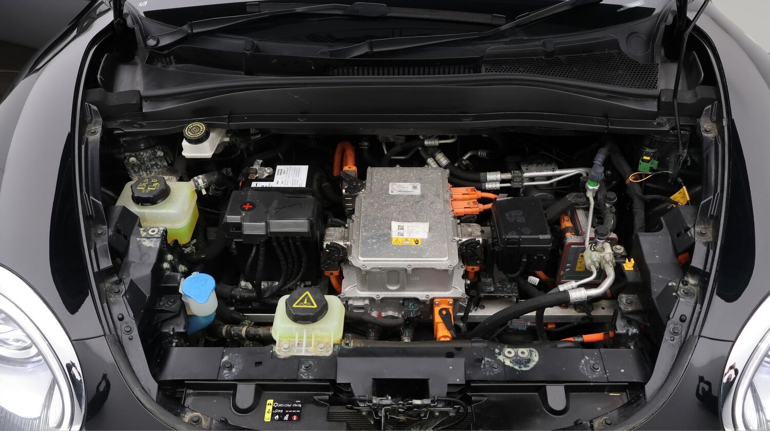 Used GWM ORA 03 2024 for sale - 77489822: Photo 19