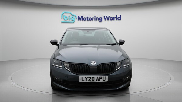 Used Skoda Octavia 2020 for sale - 76260402: Photo 3