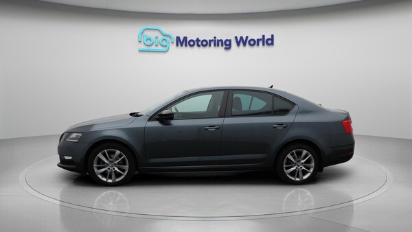 Used Skoda Octavia 2020 for sale - 76260402: Photo 5