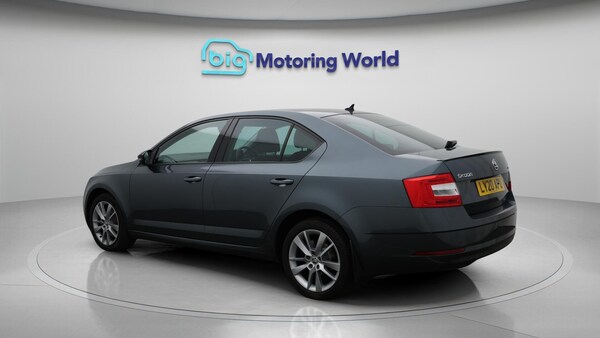 Used Skoda Octavia 2020 for sale - 76260402: Photo 6