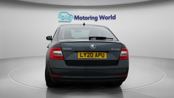 Used Skoda Octavia 2020 for sale - 76260402: Photo 7