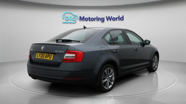 Used Skoda Octavia 2020 for sale - 76260402: Photo 8
