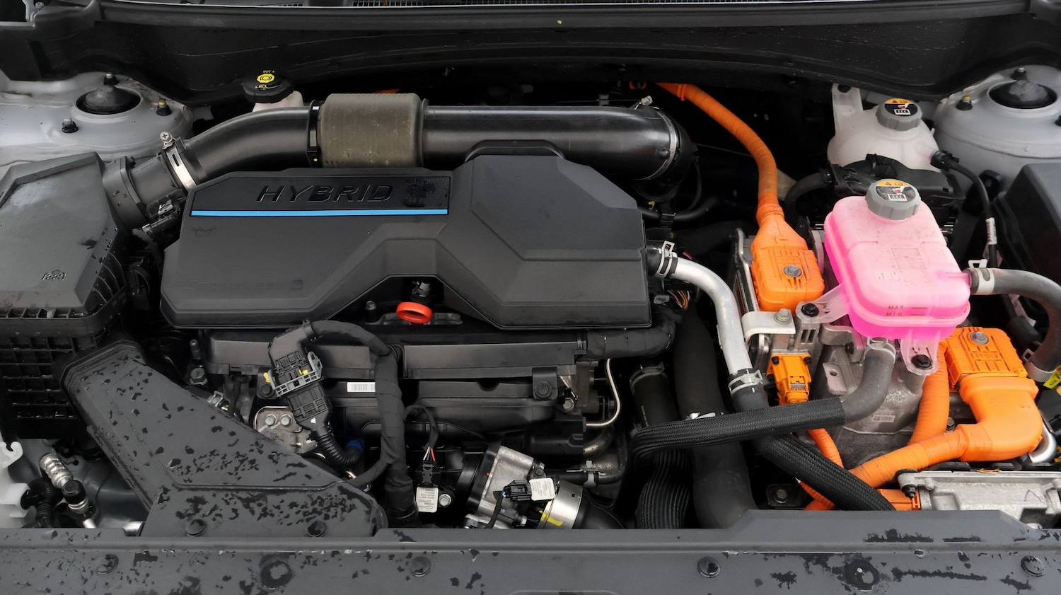 Used Kia Sportage 2024 for sale - 78040644: Photo 18