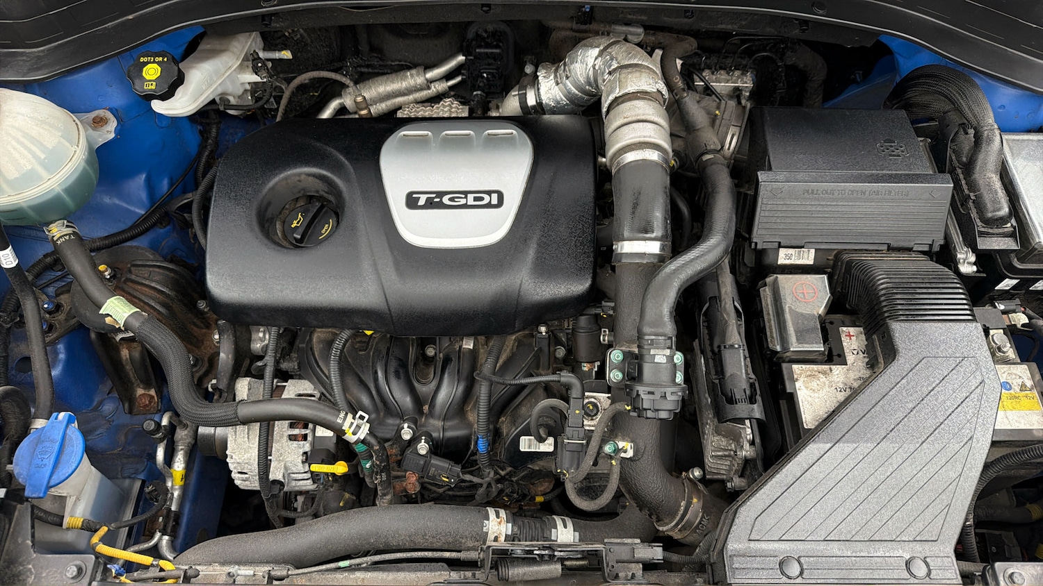 Used Kia Sportage 2019 for sale - 77968459: Photo 18