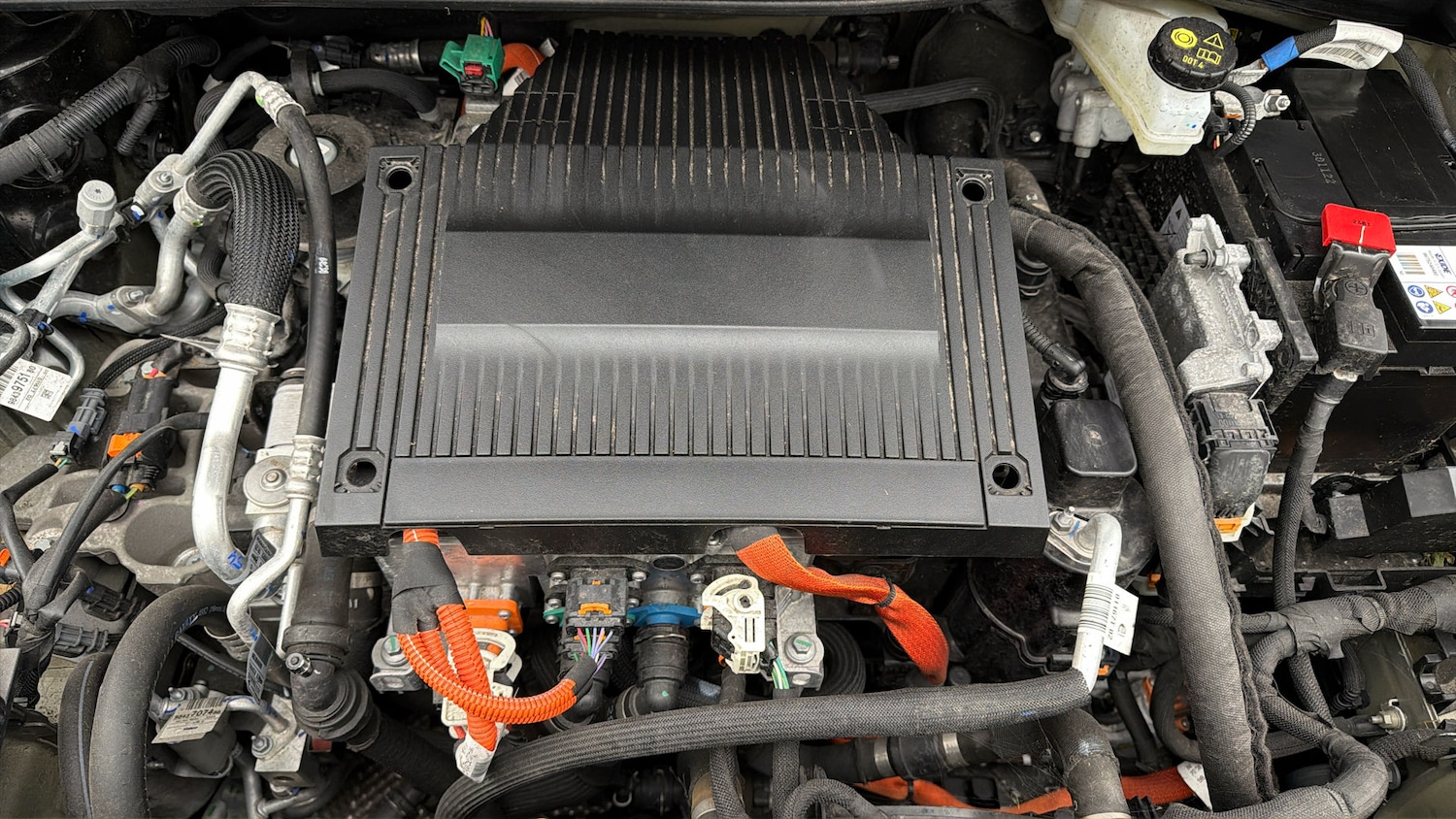 Used Citroen C4 2024 for sale - 77974323: Photo 18