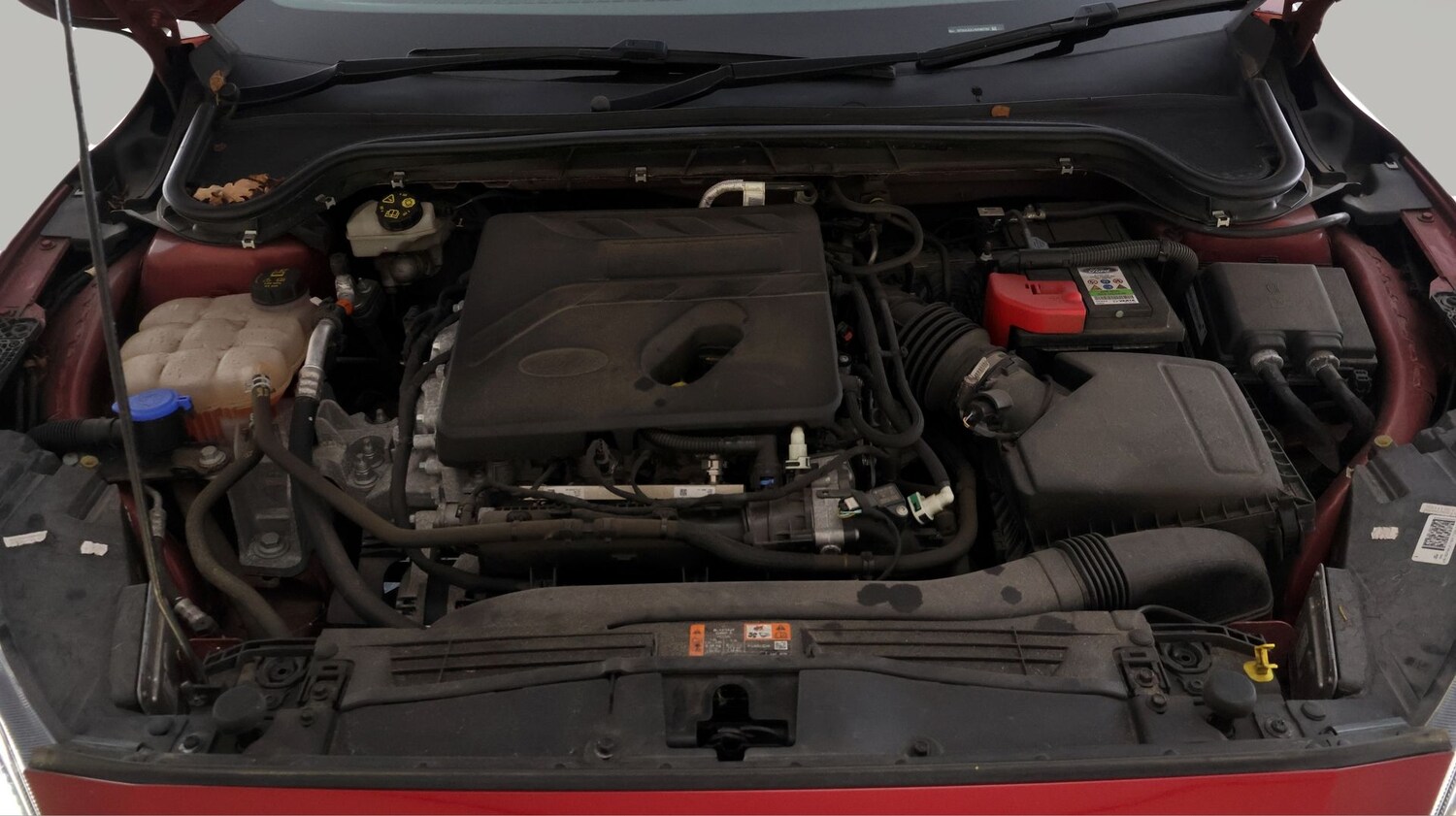 Used Ford Focus for sale - 78196669: Photo 19