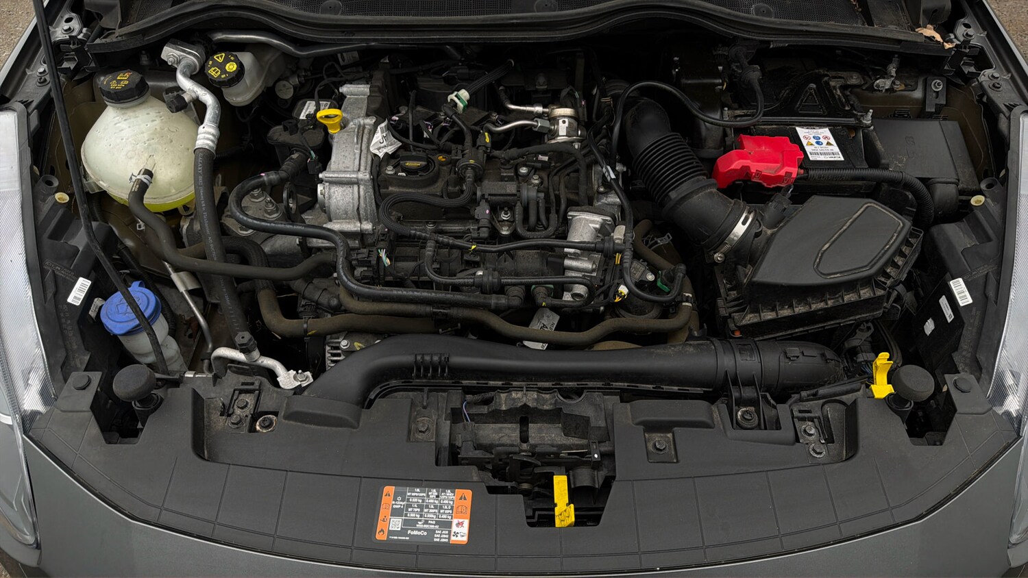 Used Ford Fiesta 2024 for sale - 77974105: Photo 18