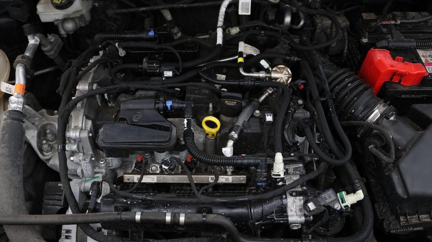 Used Ford Kuga 2022 for sale - 76658600: Photo 20