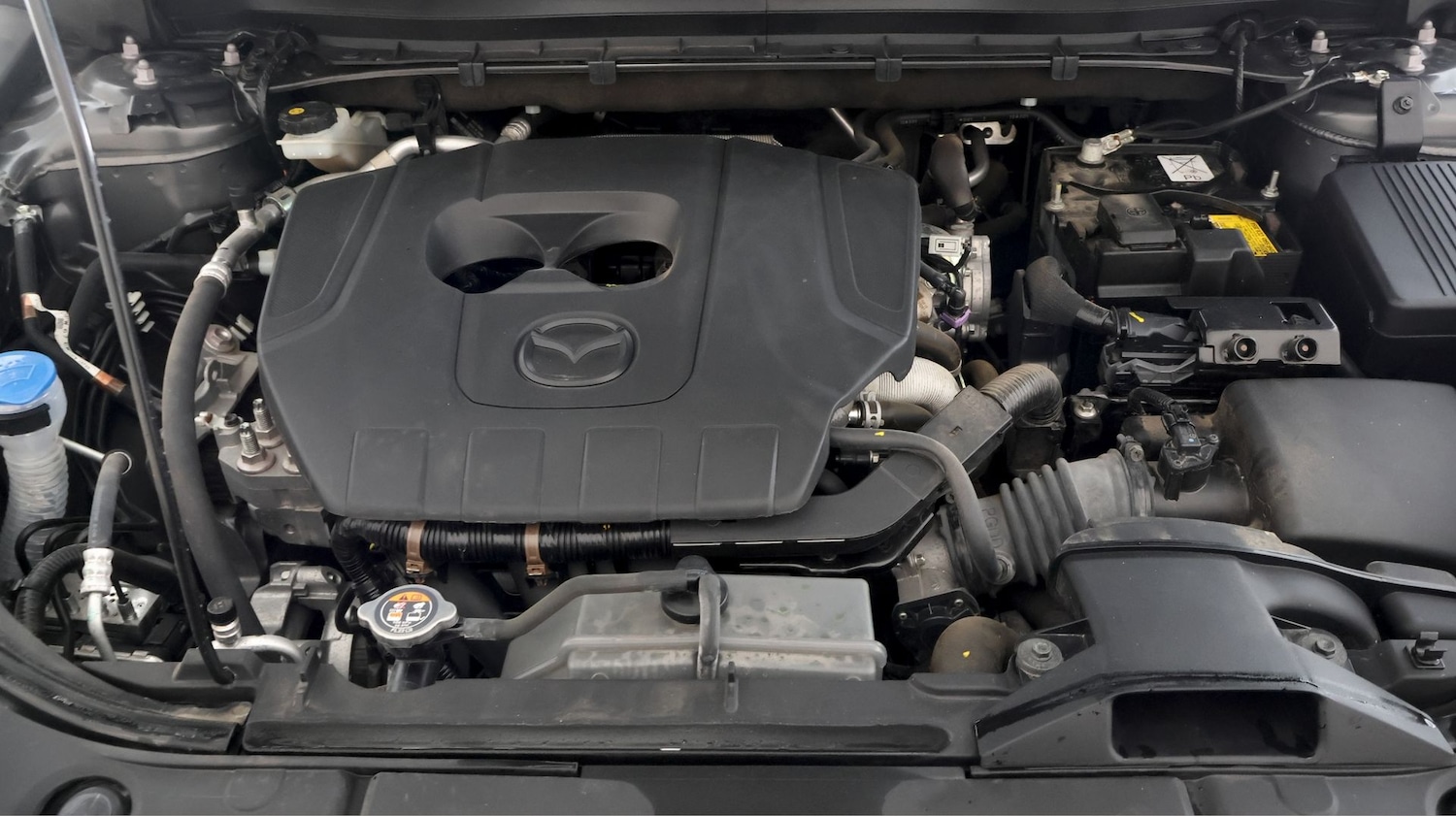 Used Mazda CX-5 2023 for sale - 77759607: Photo 18