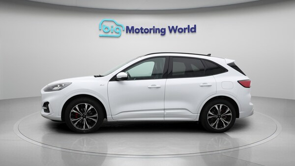 Used Ford Kuga 2020 for sale - 75269103: Photo 5
