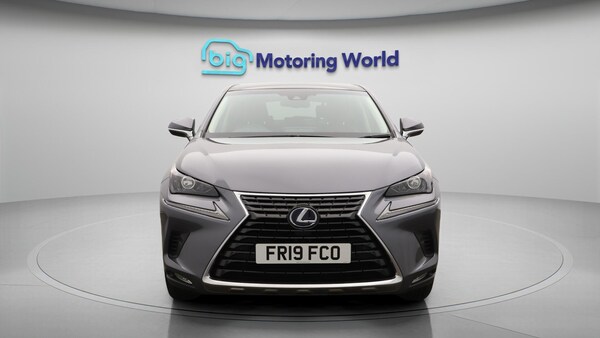 Used Lexus NX 2019 for sale - 76151625: Photo 3