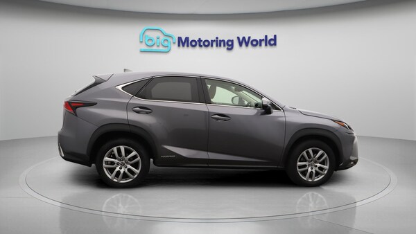 Used Lexus NX 2019 for sale - 76151625: Photo 9