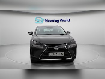 Used Lexus NX 2017 for sale - 75927643: Photo