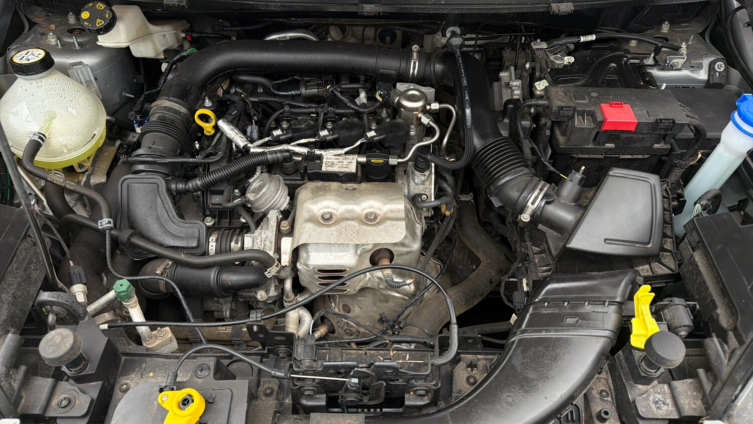 Used Ford Ecosport 2022 for sale - 77902648: Photo 18