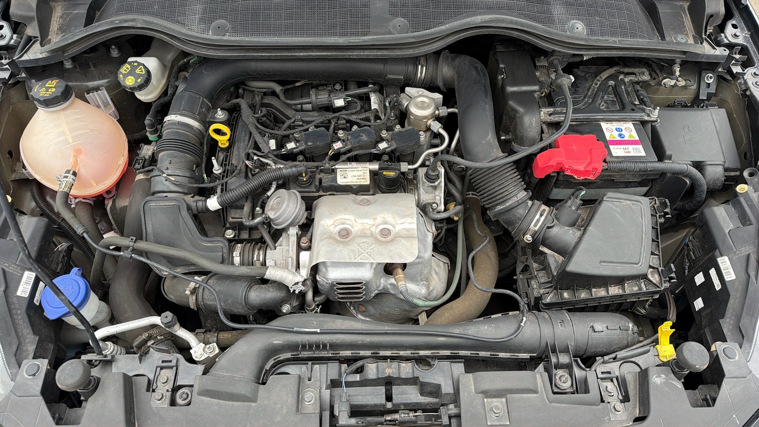 Used Ford Fiesta 2022 for sale - 78053704: Photo 18