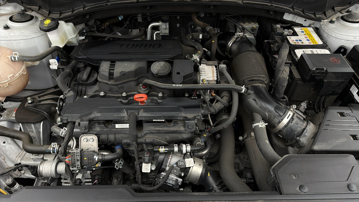 Used Hyundai TUCSON 2023 for sale - 77974107: Photo 18