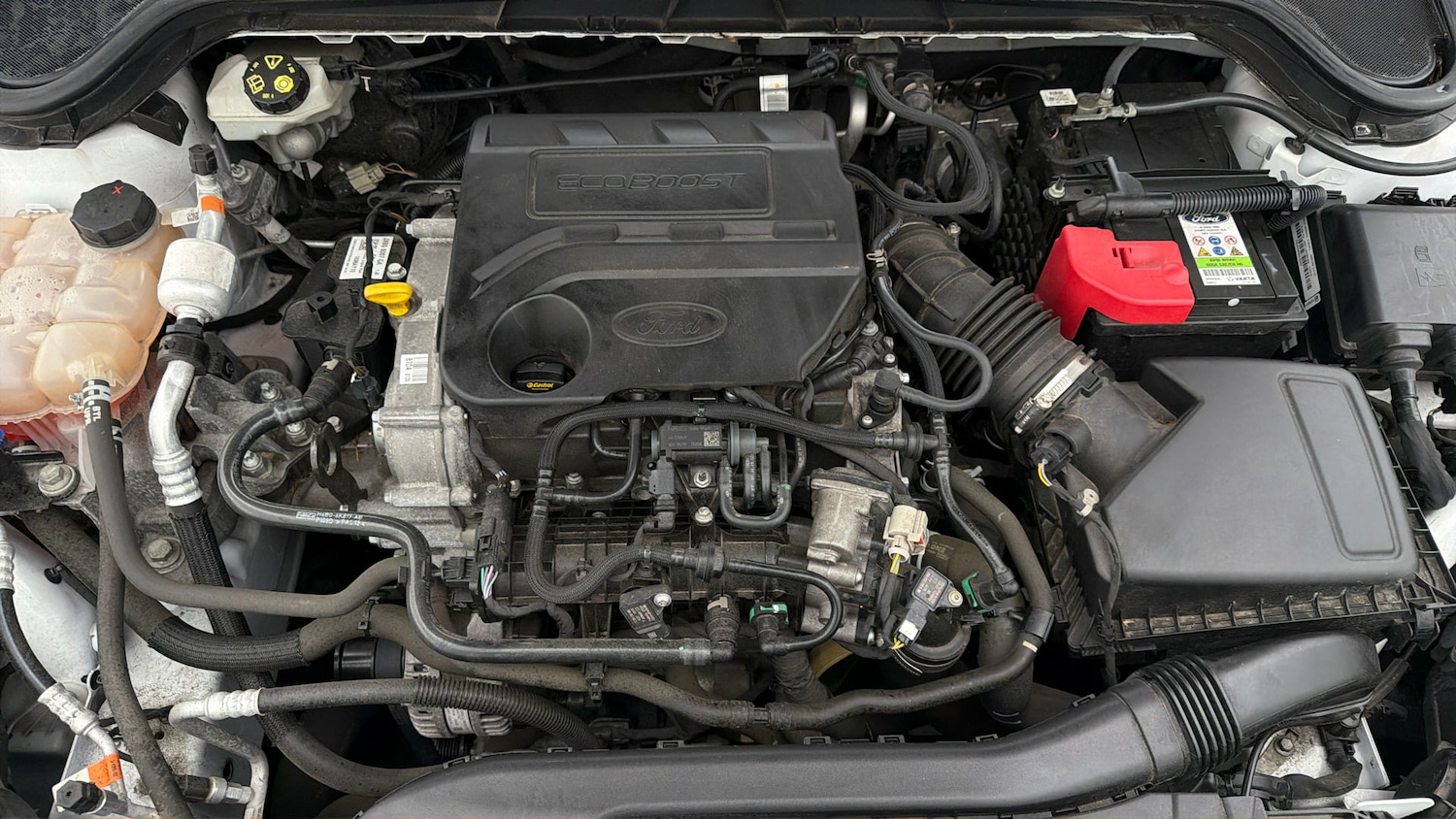 Used Ford Focus 2020 for sale - 77985173: Photo 18