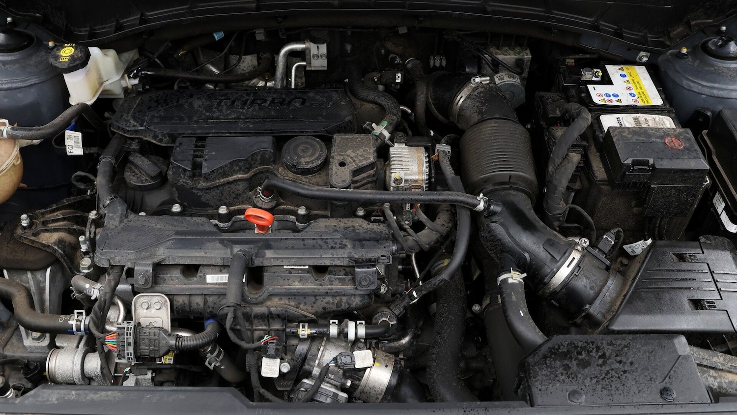 Used Hyundai TUCSON 2023 for sale - 77225644: Photo 19