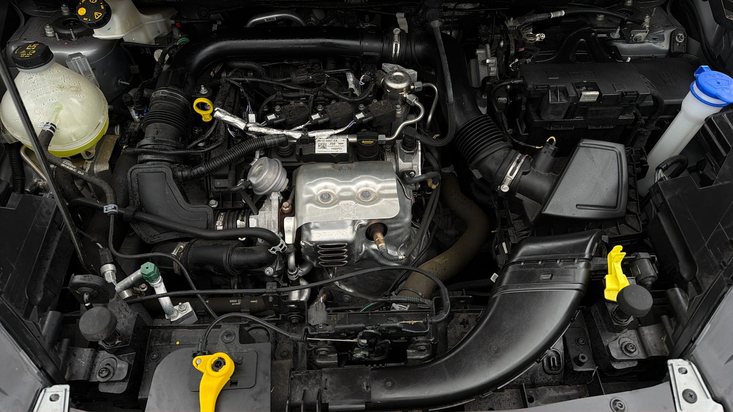 Used Ford Ecosport 2023 for sale - 78121991: Photo 18