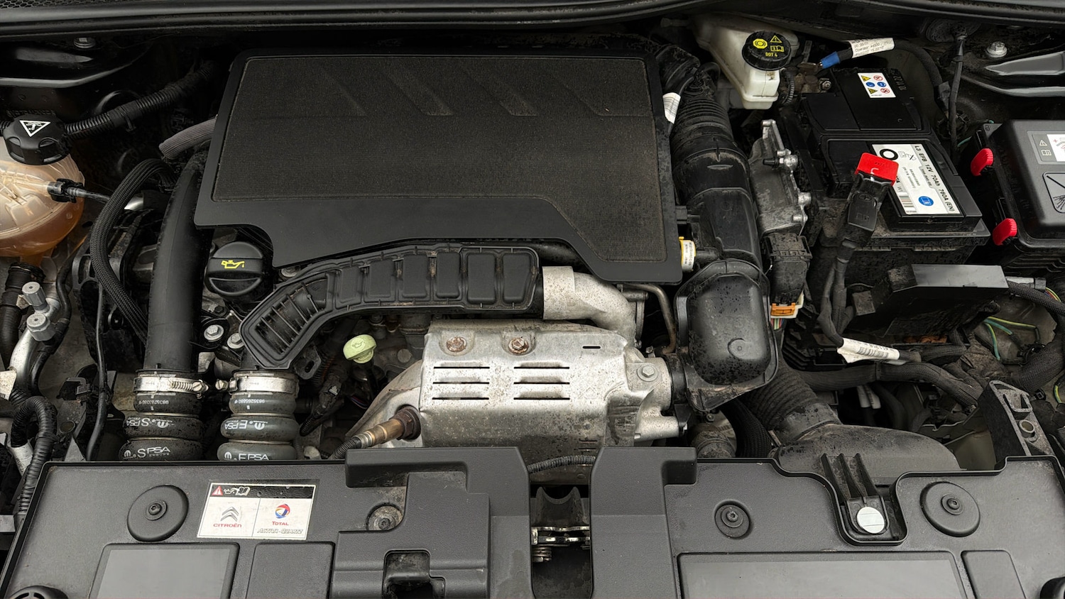 Used Citroen C4 2023 for sale - 78123831: Photo 18