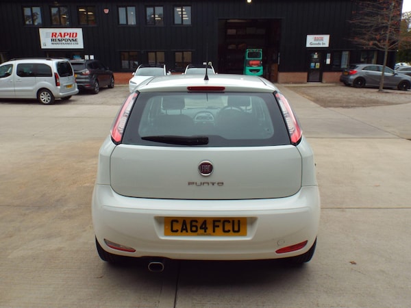 Used Fiat Punto 2014 for sale - 76270859: Photo 17