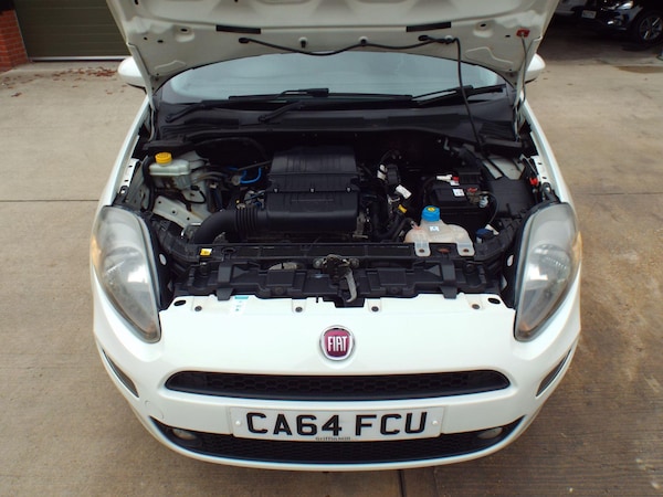 Used Fiat Punto 2014 for sale - 76270859: Photo 48