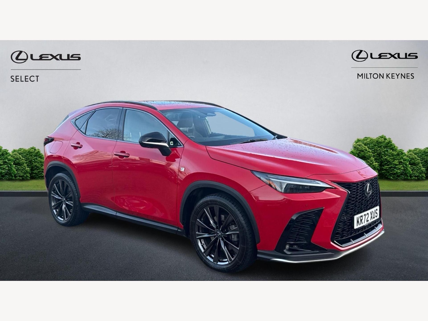 Used Lexus NX 2023 for sale - 77097400: Photo 1