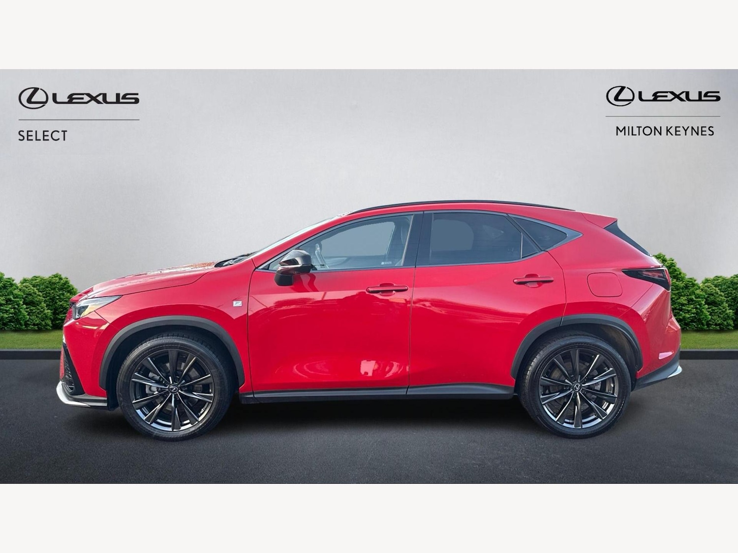 Used Lexus NX 2023 for sale - 77097400: Photo 3