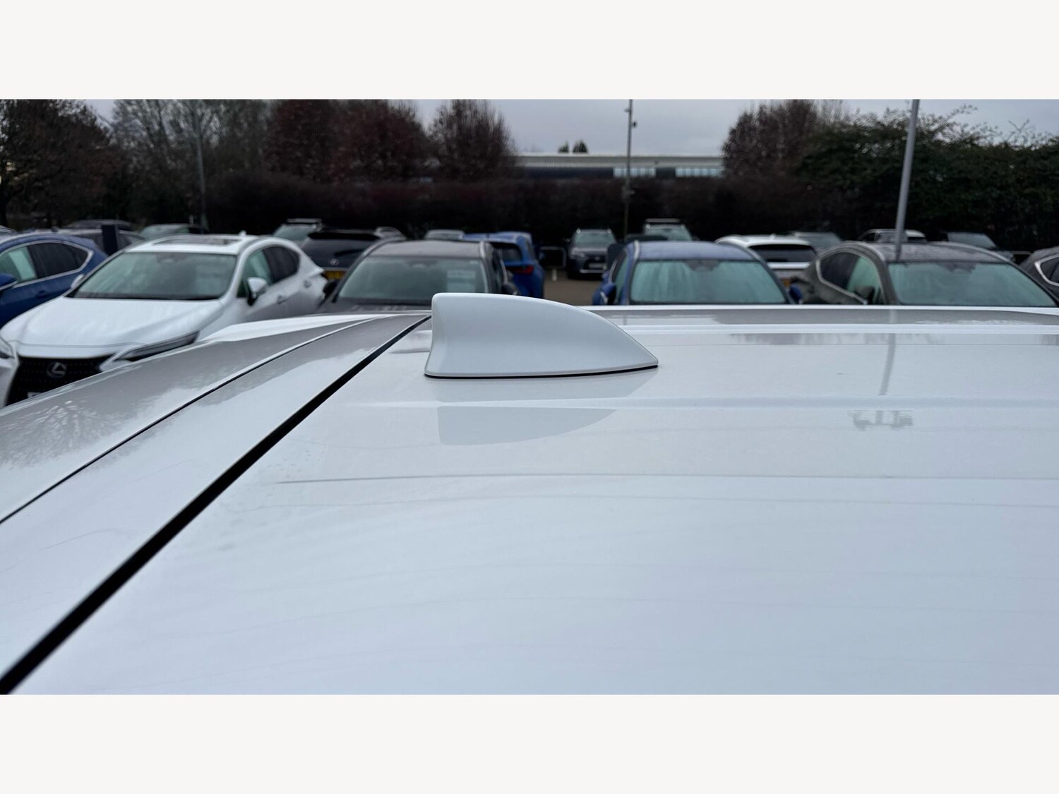 Used Lexus LM 2025 for sale - 76976283: Photo 27