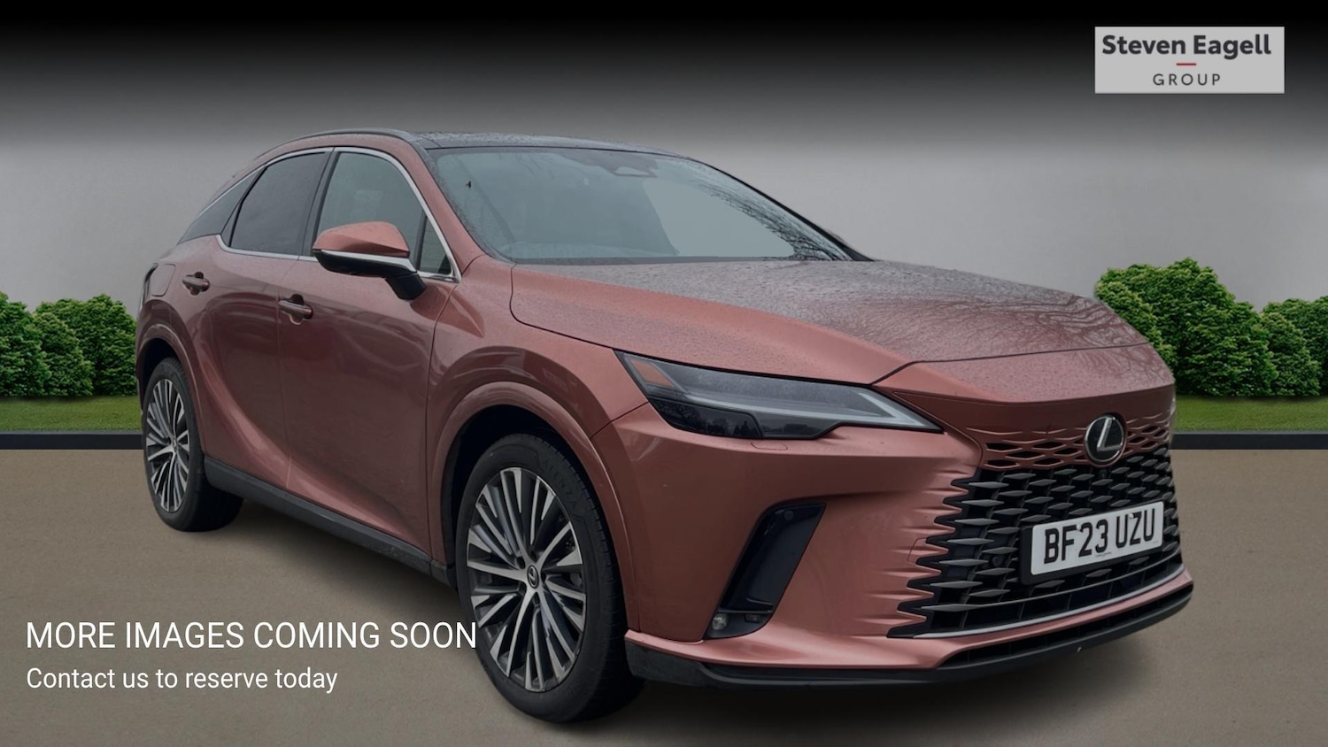 Used Lexus RX 2023 for sale - 76898994: Photo 1